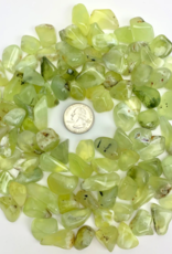 Prehnite Tumbled | 15-20MM | Australia