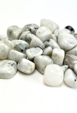 Pelham Grayson Rainbow Moonstone Tumbled | 15-25MM | India