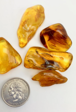 Amber Tumbled | 5-20MM