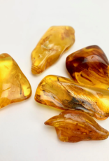 Amber Tumbled | 5-20MM