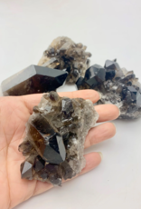 Smoky Quartz Cluster |