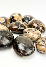 Pelham Grayson Black Opal Palmstone | 45-60MM | Madagascar
