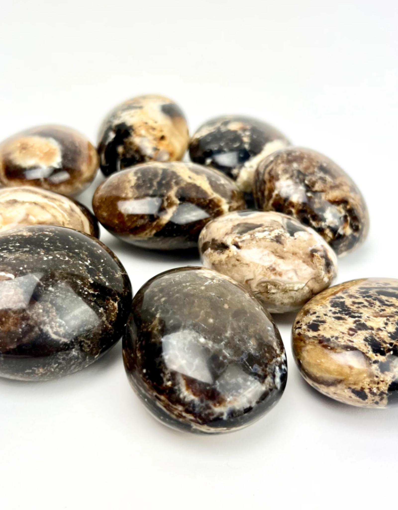 Black Opal | Palm Stone | 40-60mm | Madagascar