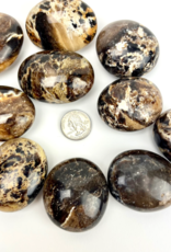 Black Opal | Palm Stone | 40-60mm | Madagascar