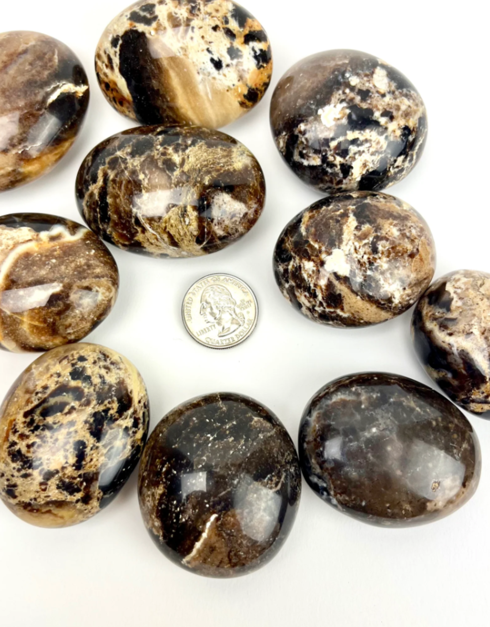 Black Opal | Palm Stone | 40-60mm | Madagascar