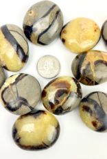 Septarian "Dragon Stone" | Palmstone | 40-50mm | Madagascar
