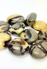 Septarian "Dragon Stone" | Palmstone | 40-50mm | Madagascar