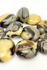 Septarian "Dragon Stone" | Palmstone | 40-50mm | Madagascar