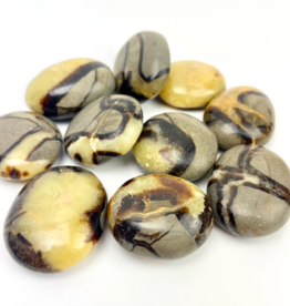 Septarian "Dragon Stone" | Palmstone | 40-50mm | Madagascar