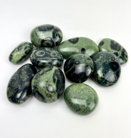 Pelham Grayson Kambaba Jasper Palmstone | 35-45MM | Madagascar