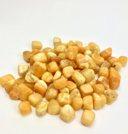 Quasar Gems Aragonite | Tumbled | 20-30mm