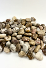 Petrified Wood | Tumbled | 20-30mm