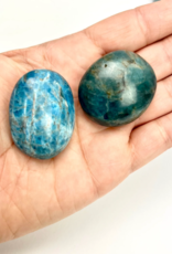Blue Apatite | Palmstone | 30-40mm
