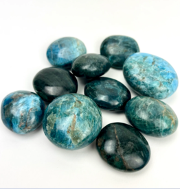 Blue Apatite | Palmstone | 30-40mm