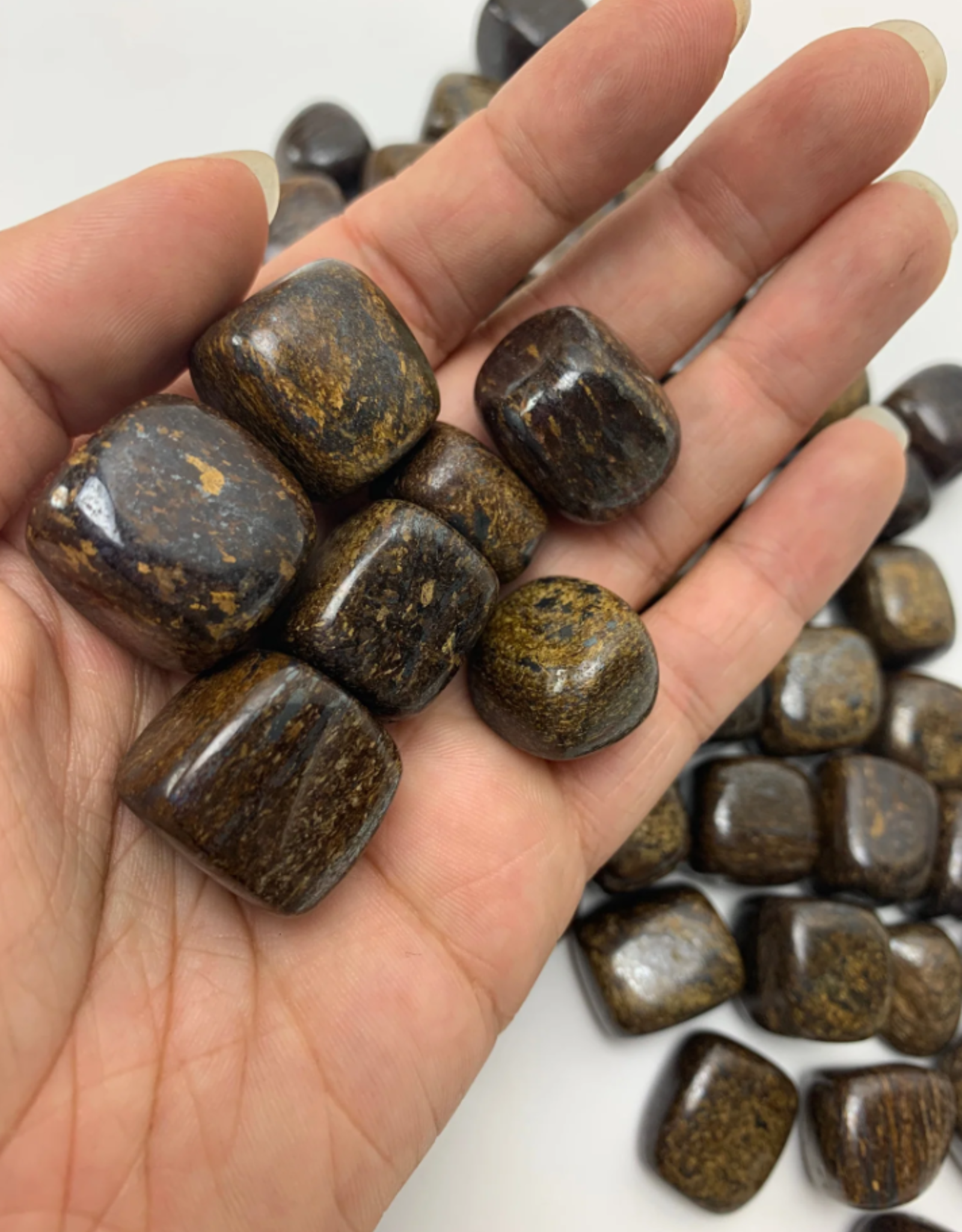 Bronzite Tumbled | 20-25MM | Brazil