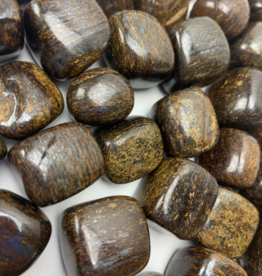 Quasar Gems Bronzite Tumbled | 20-25mm | Brazil