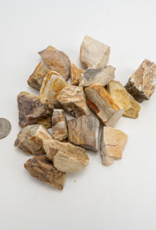 Petrified Wood Rough | 30-50 mm | Madagascar