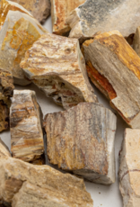 Petrified Wood Rough | 30-50 mm | Madagascar