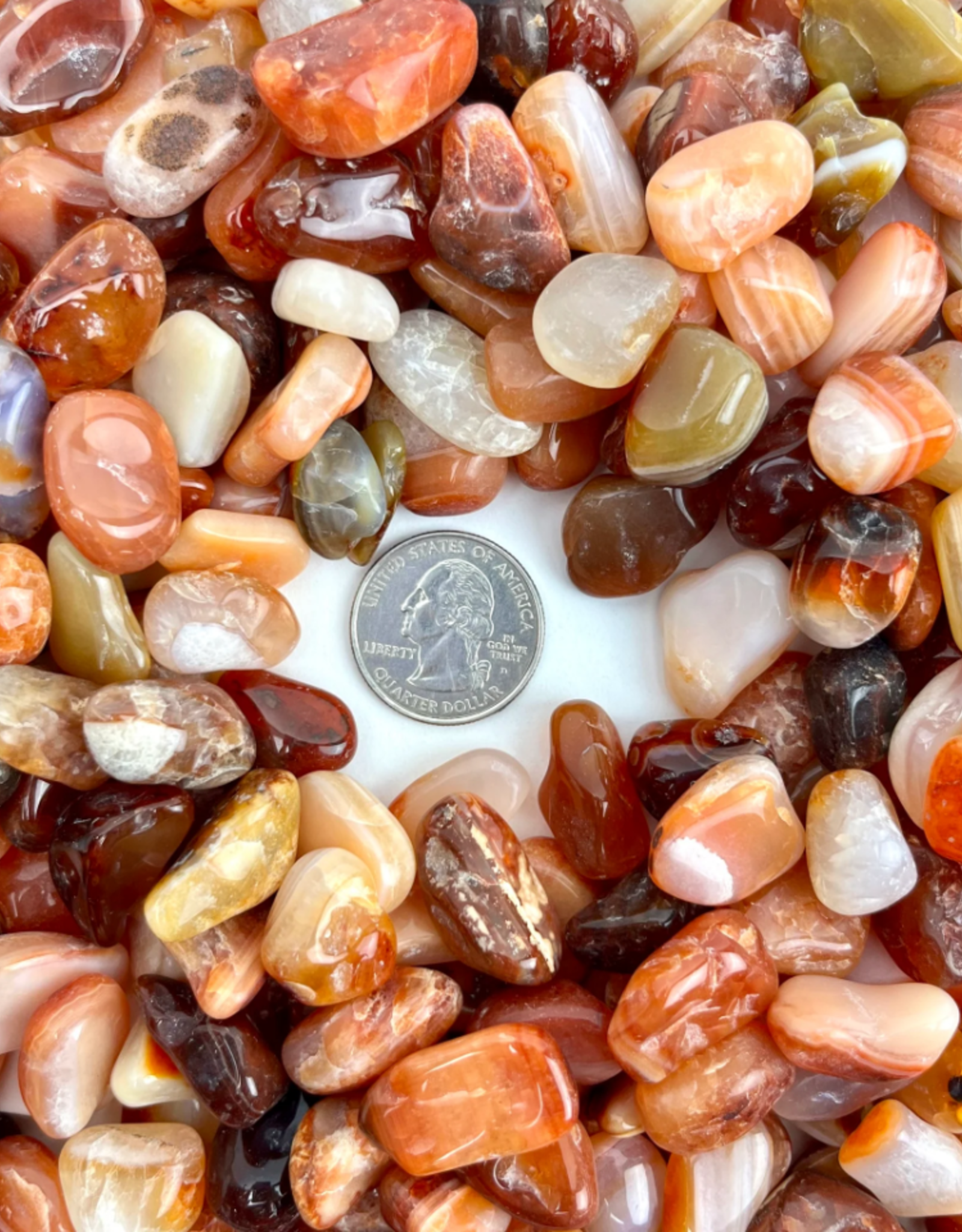 Carnelian Tumbled | 10-35MM | Brazil