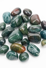 Bloodstone "Heliotrope"| Tumbled | 20-30mm | India