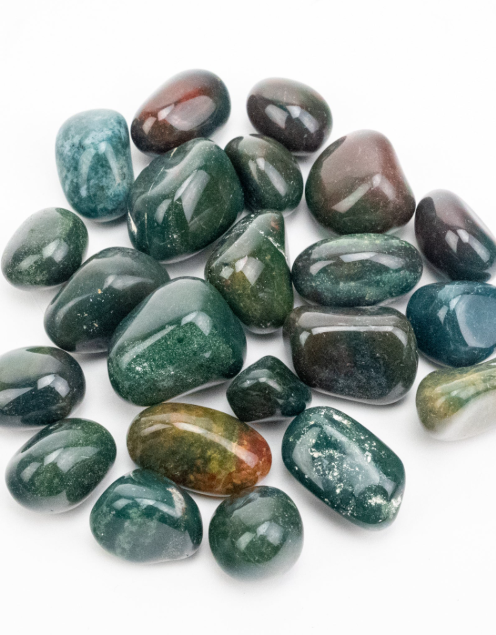 Bloodstone "Heliotrope"| Tumbled | 20-30mm | India