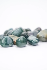 Bloodstone "Heliotrope"| Tumbled | 20-30mm | India