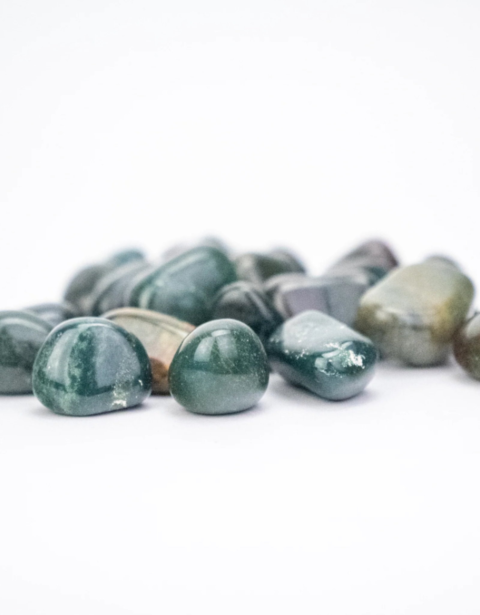Bloodstone "Heliotrope"| Tumbled | 20-30mm | India