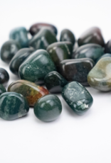 Bloodstone "Heliotrope"| Tumbled | 20-30mm | India