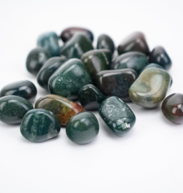 Bloodstone "Heliotrope"| Tumbled | 20-30mm | India