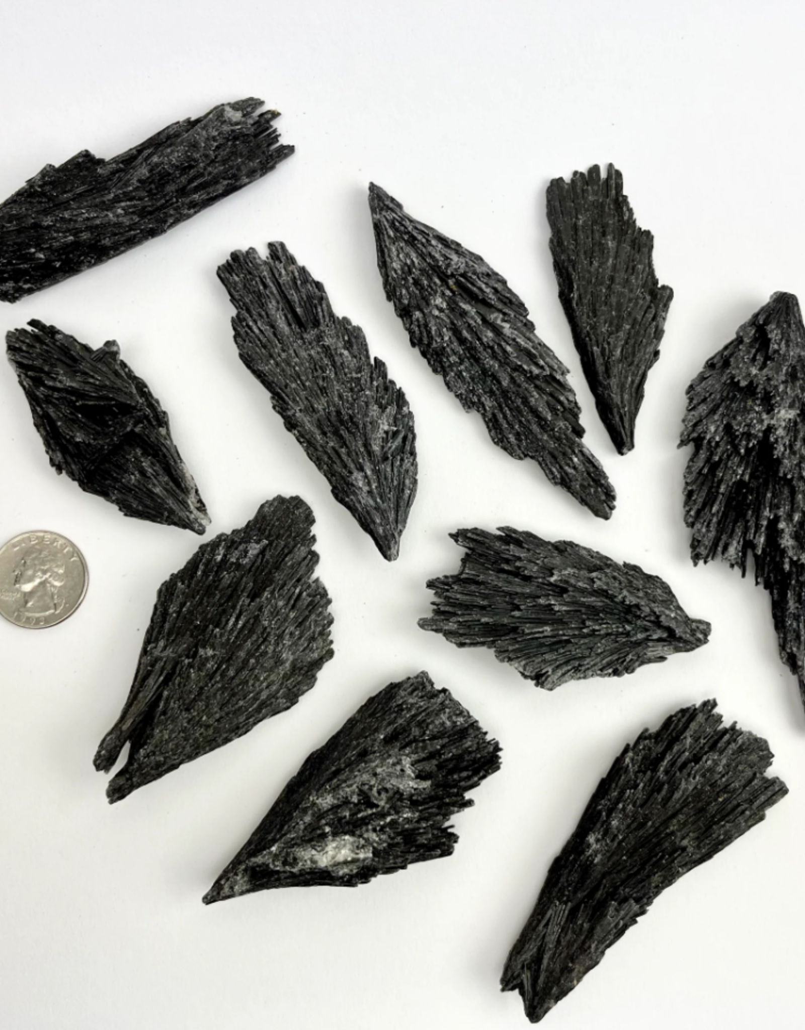 Black Kyanite Fan | 25-30MM | Brazil
