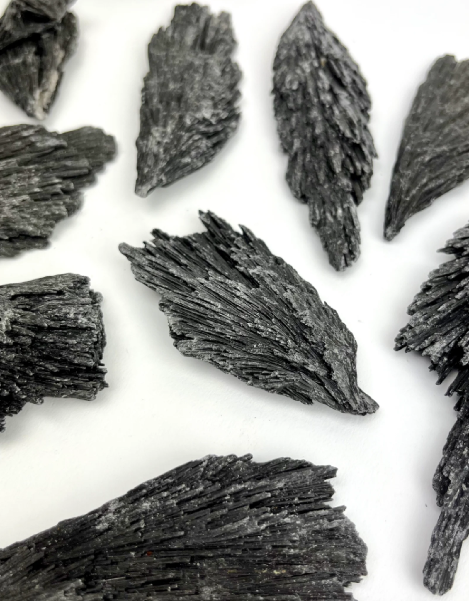 Black Kyanite Fan | 25-30MM | Brazil