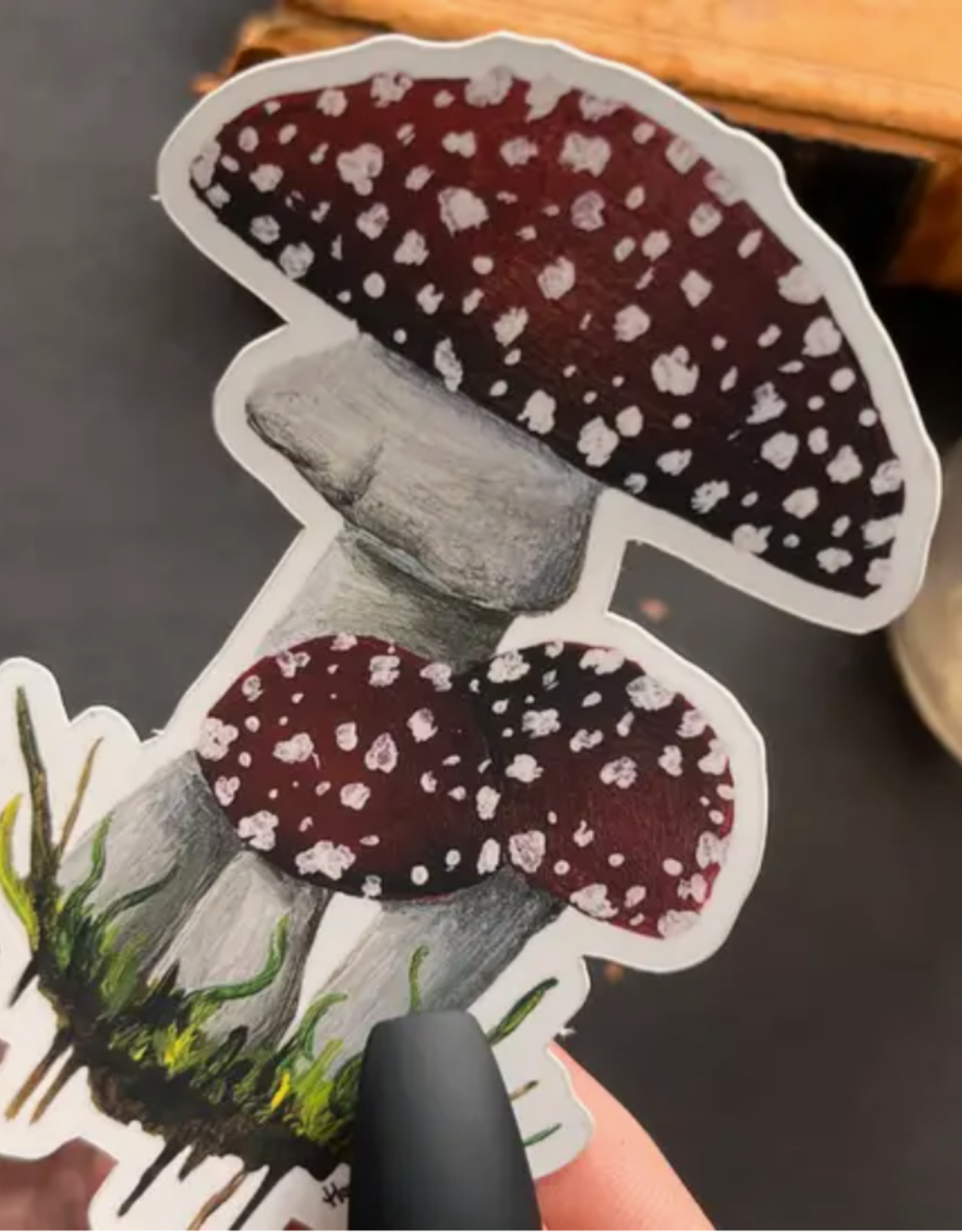 Amanita Mushroom Sticker | dark decor | witchy decor | witch