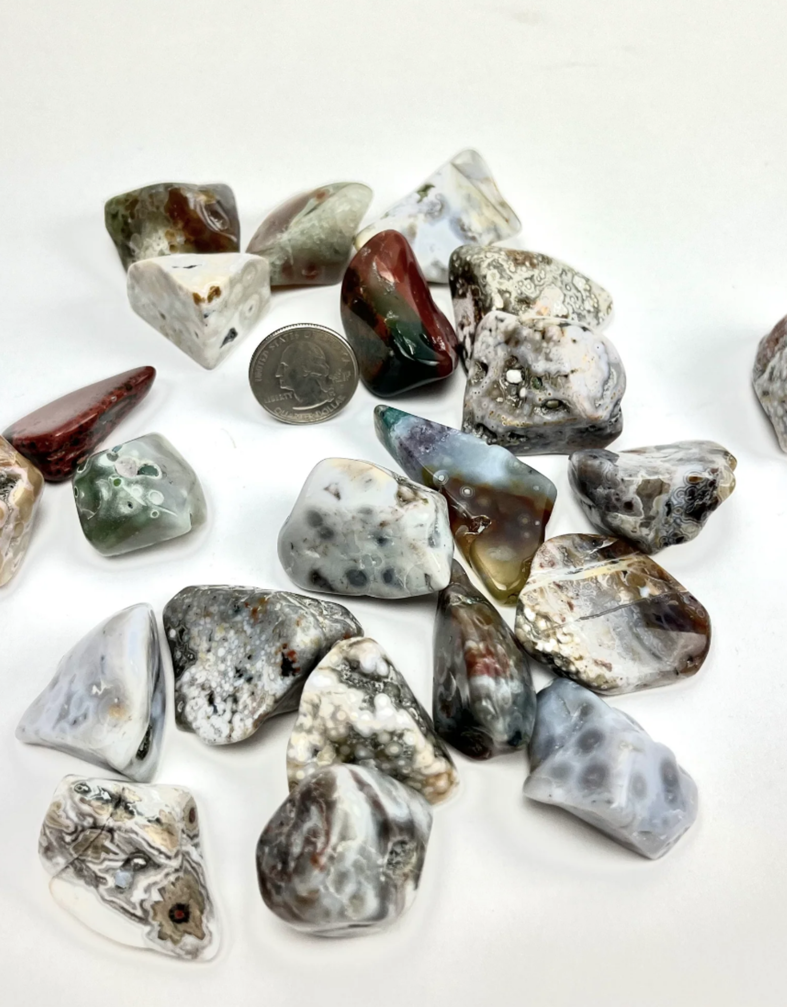 Multicolored Ocean Jasper | Tumbled | 20-30mm | Madagascar