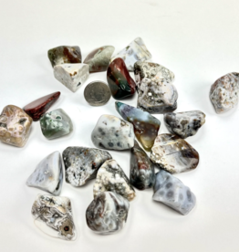 Multicolored Ocean Jasper | Tumbled | 20-30mm | Madagascar