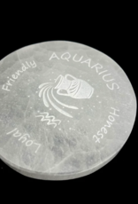 Zodiac Selenite Disc | 95-100MM |
