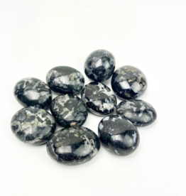 Indigo Gabbro / Mystic Merlinite | Palmstone | 30-40mm | Madagascar