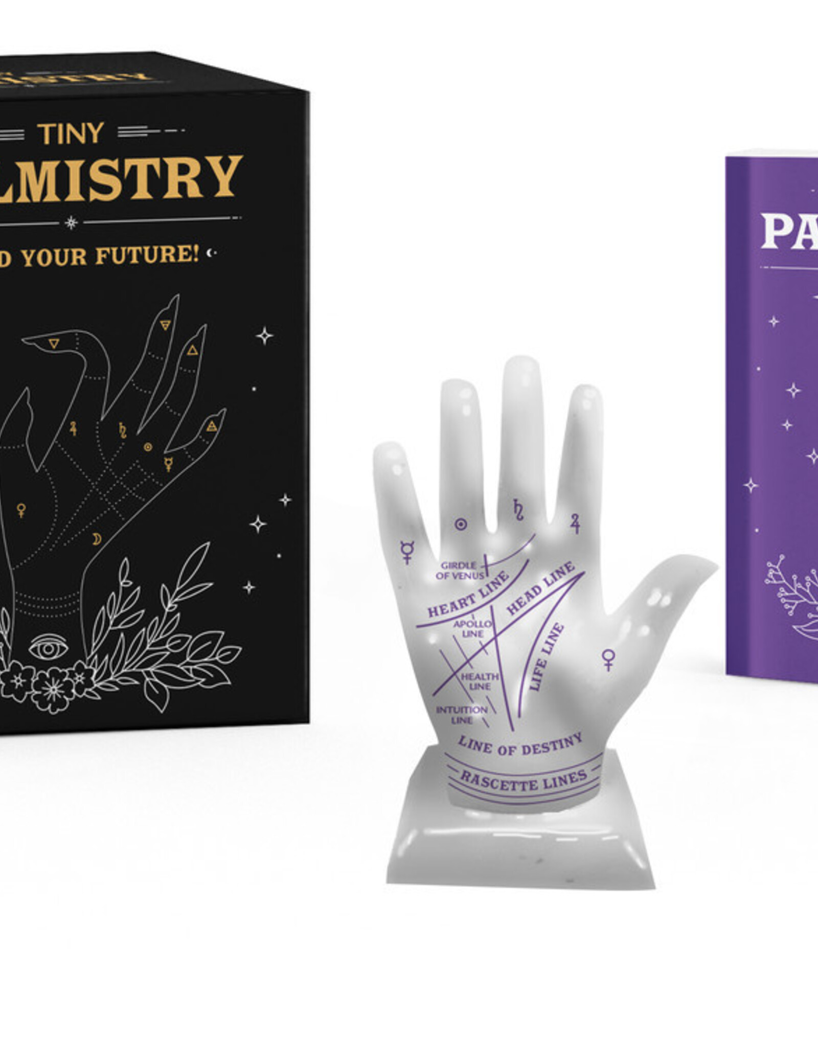 Tiny Palmistry*