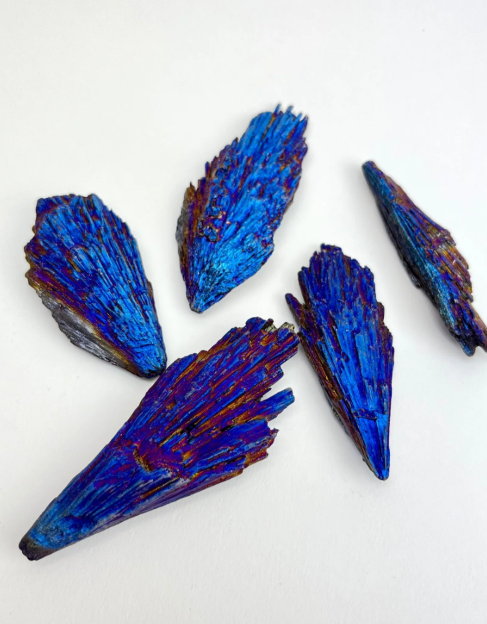 Rainbow Titanium Kyanite Fan | 60-100mm