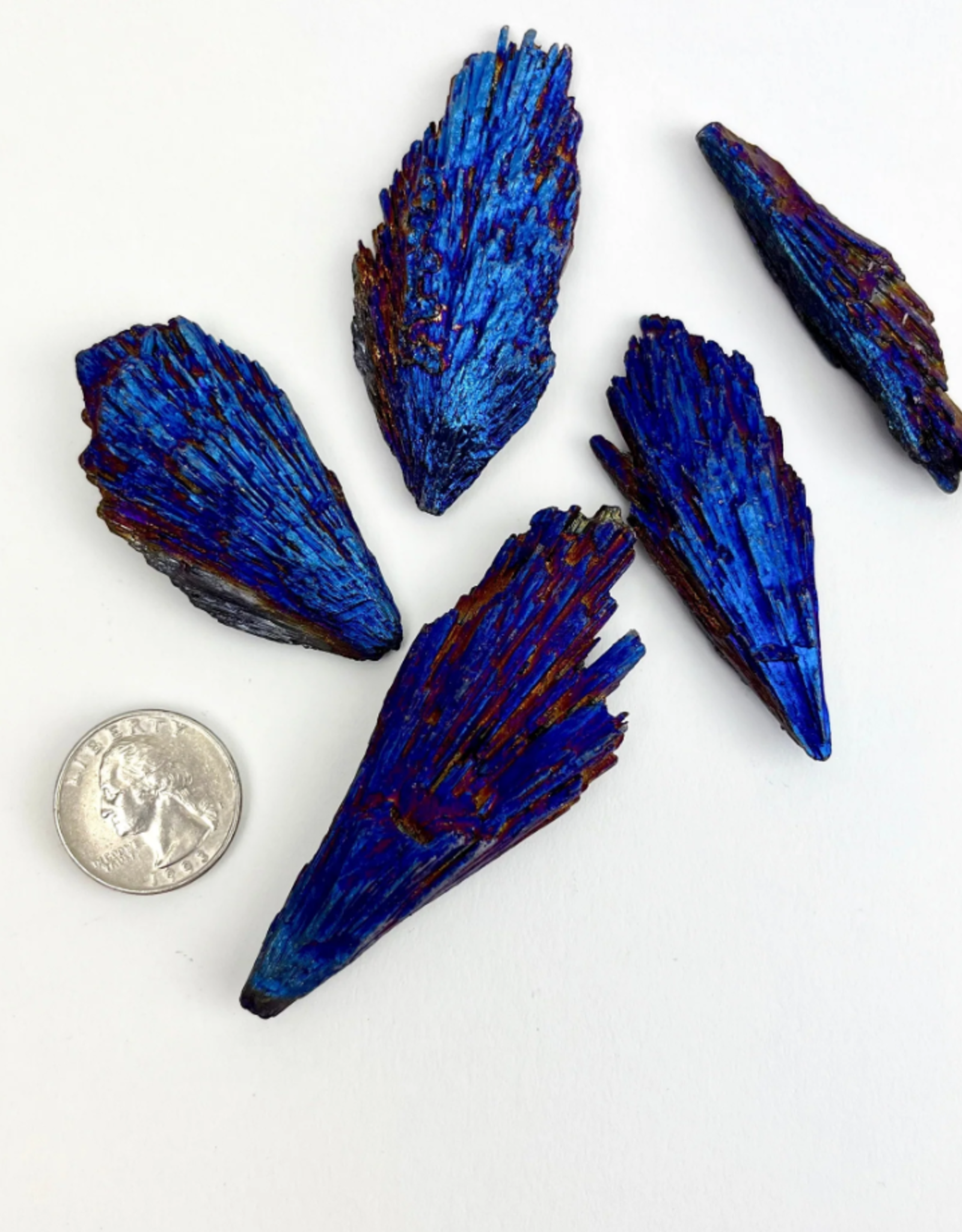 Rainbow Titanium Kyanite Fan | 60-100mm