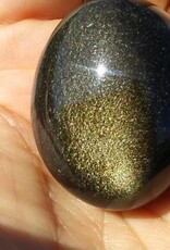 Gold Sheen Obsidian Pebble