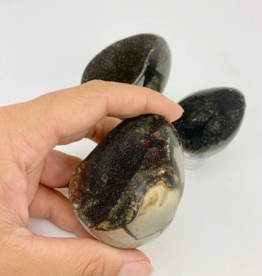 Septarian "Dragon Egg" | 2-3" | Madagascar