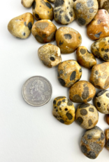 Leopard Jasper | 15-25mm | India