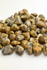 Leopard Jasper | 15-25mm | India