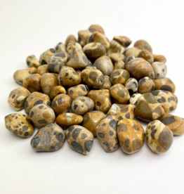 Leopard Jasper | 15-25mm | India