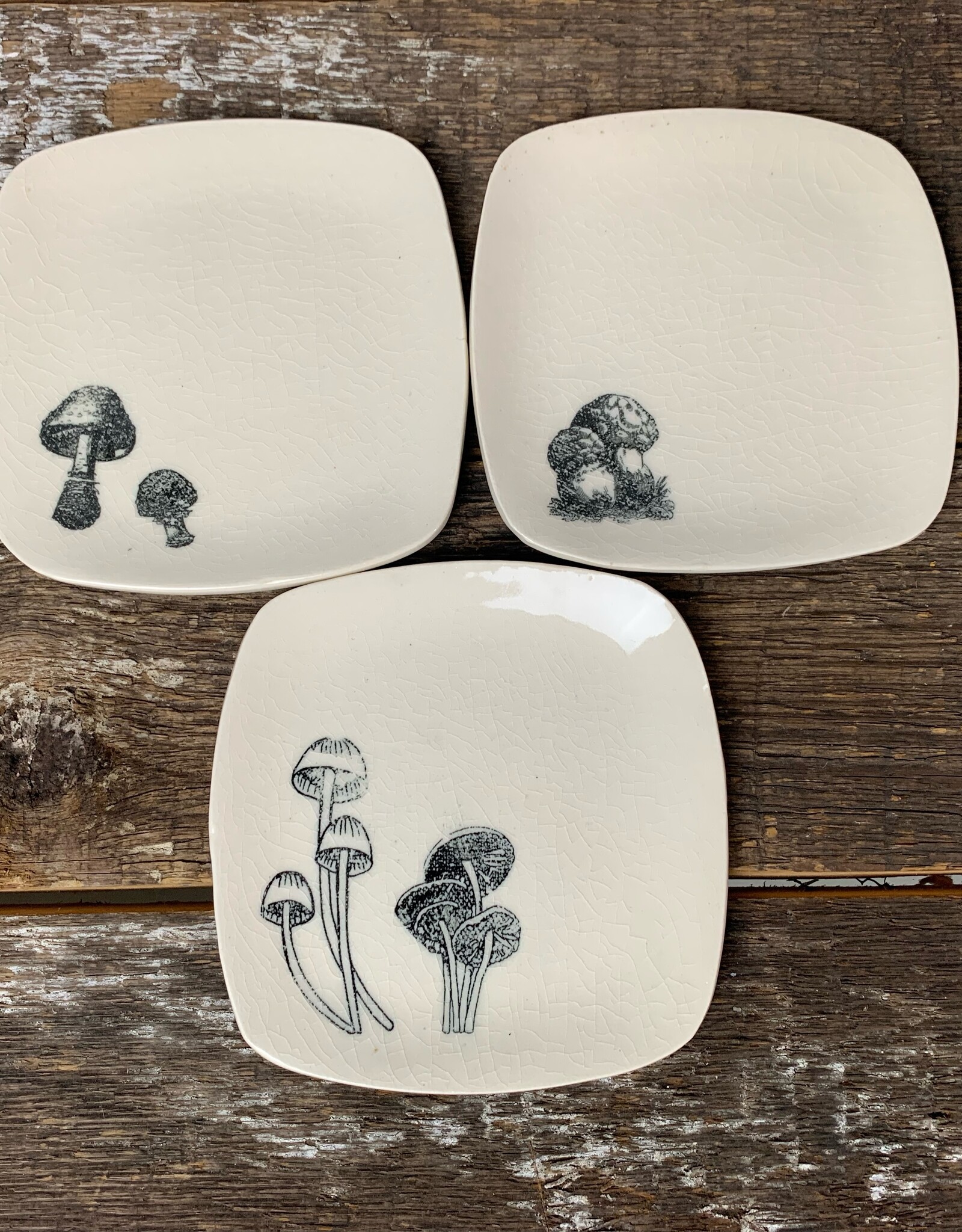 *Rounded Square Dish | Mushroom | 5" Design #8