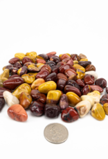 Mookaite Jasper Tumbled | 20-30mm | Australia