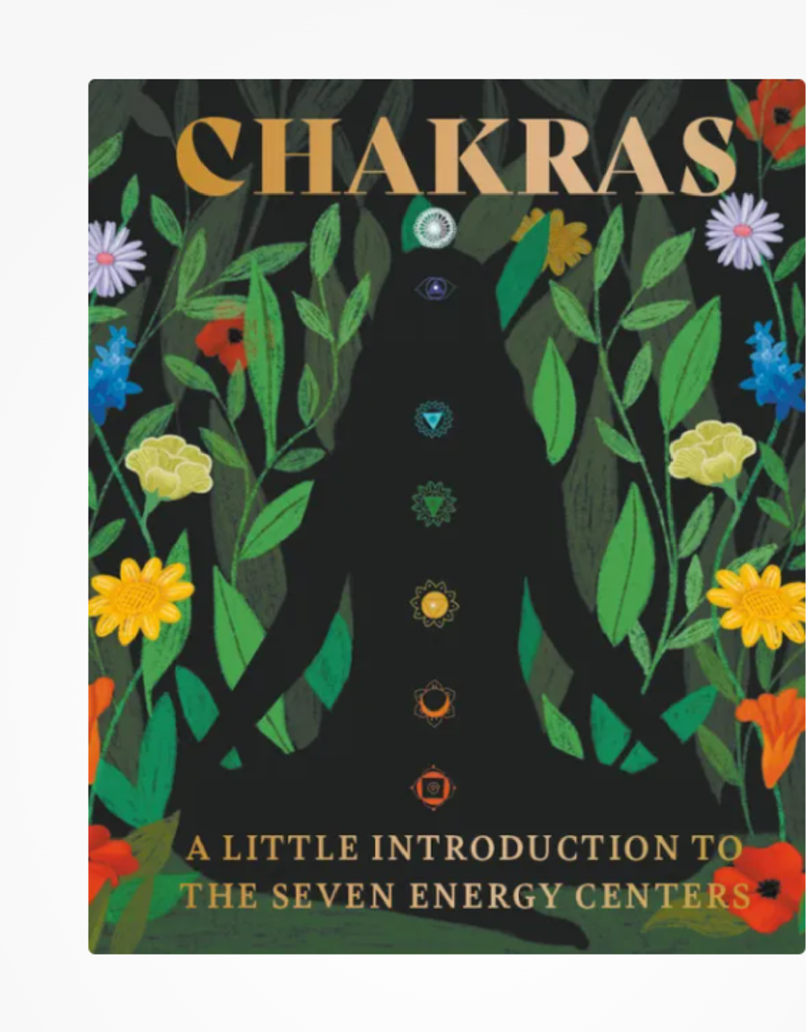 Hachette Book Group Chakras