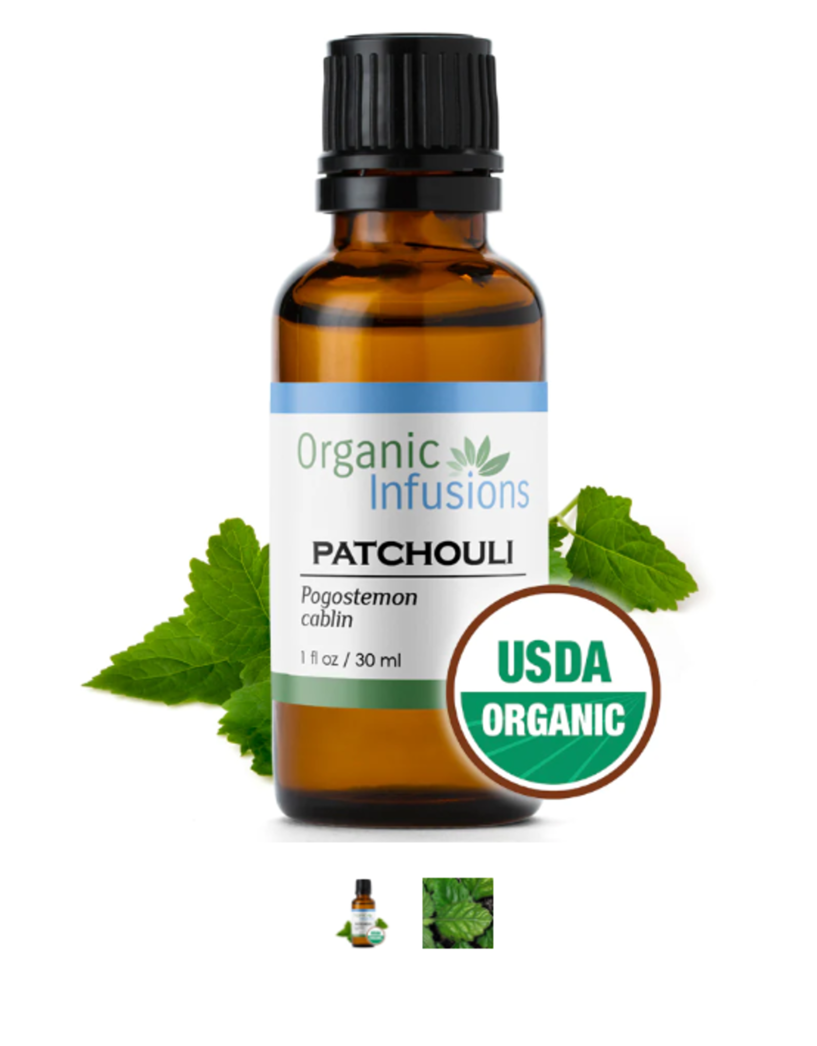 Organic Infusions Certified Organic Patchouli