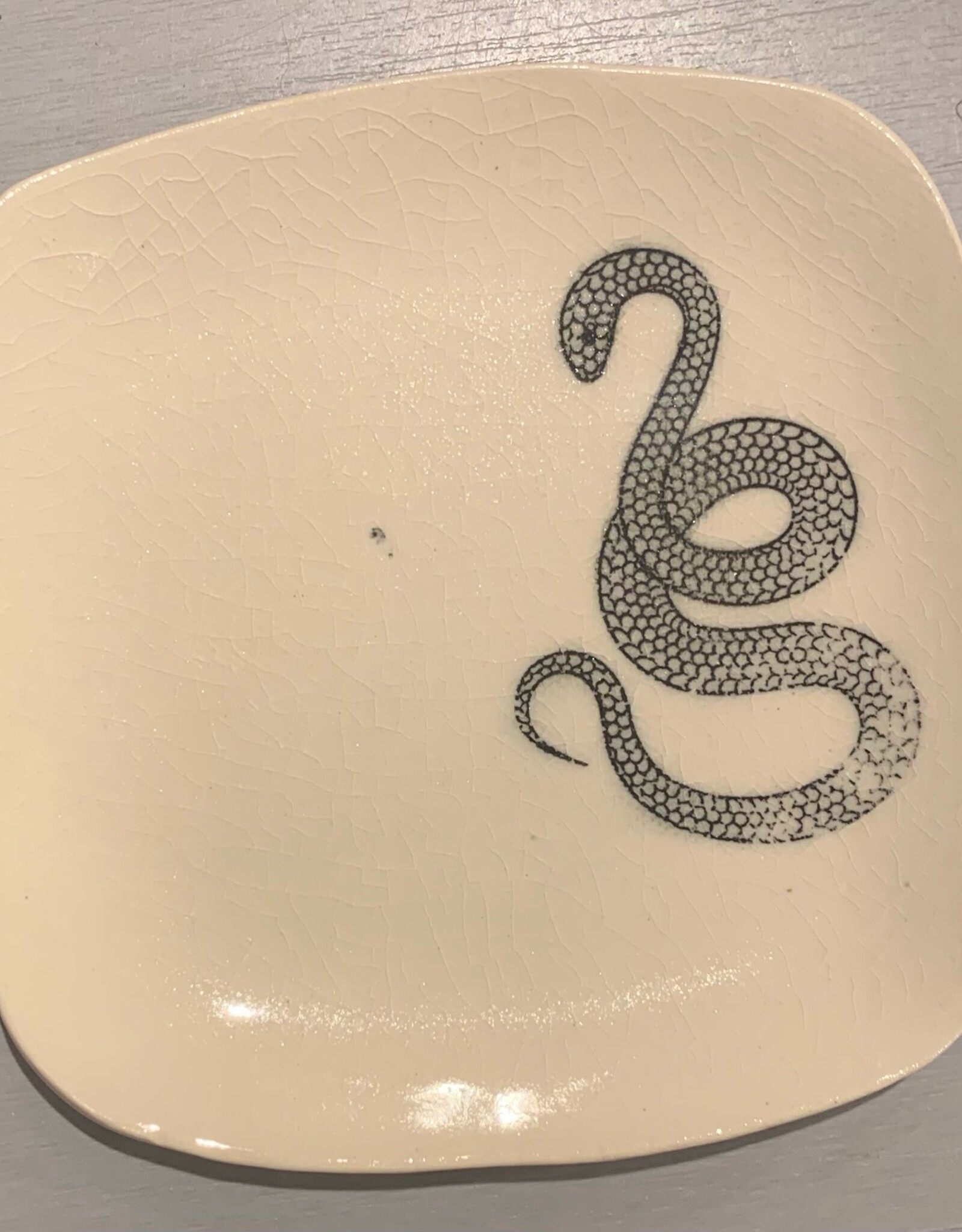 Rounded Square Dish | Snake | 5"