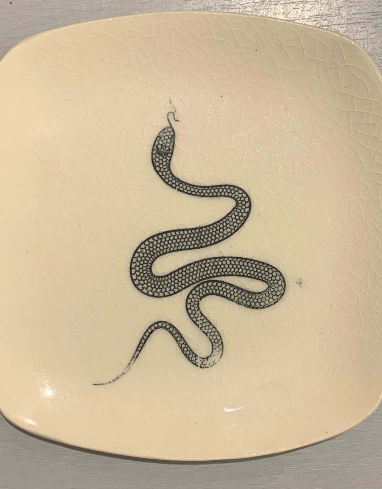 Rounded Square Dish | Snake | 5"